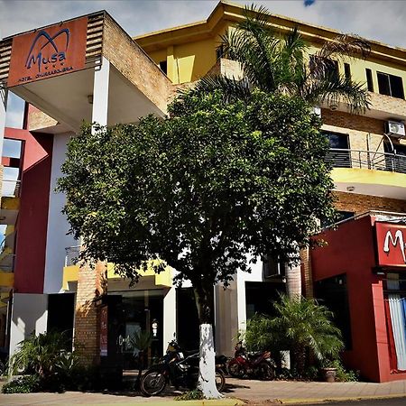 Musa Hotel Villarrica Εξωτερικό φωτογραφία