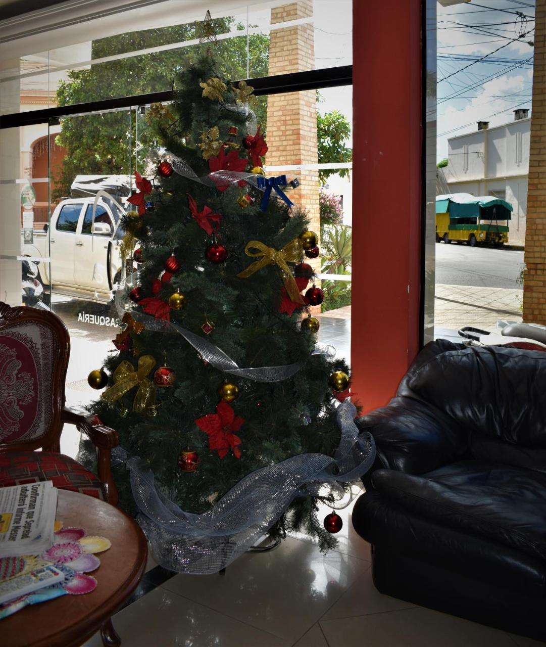 Musa Hotel Villarrica Εξωτερικό φωτογραφία